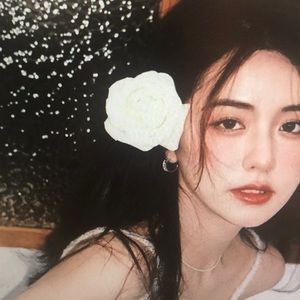 Meet your Posher, Maxwell